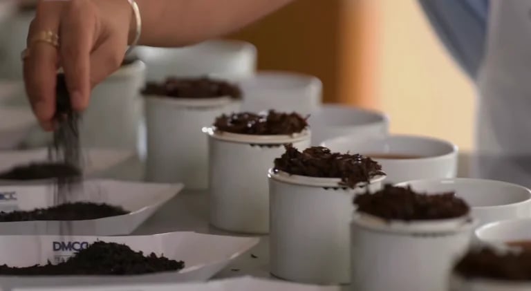 img-ecosystems-tea-leaves-popup-placeholder